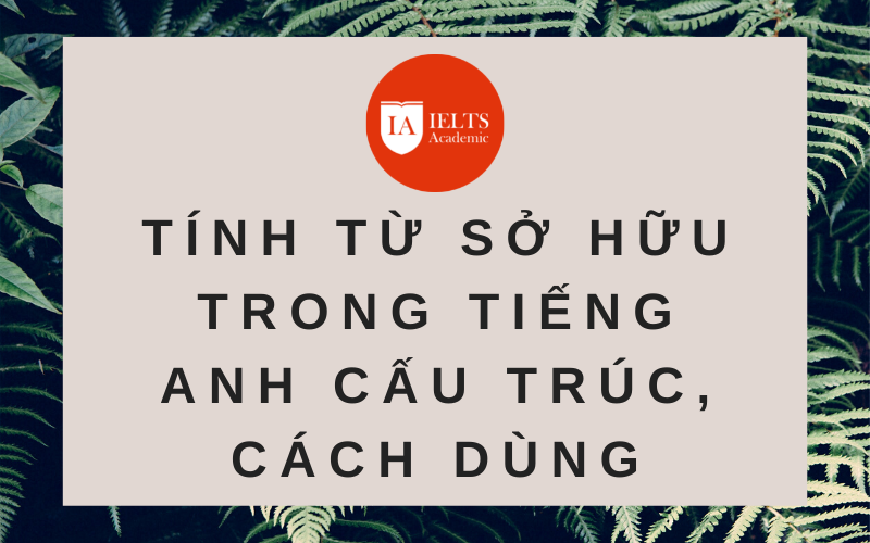 Tính từ sở hữu trong tiếng Anh cấu trúc cách dùng